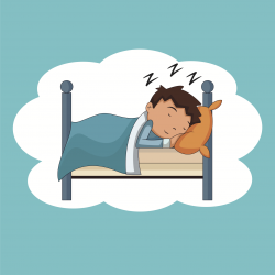 Why Do We Need To Sleep? | Vermont Public Radio
