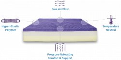 Compare Memory Foam vs Spring, Air, and Latex Mattresses - Purple
