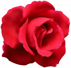 Red Rose Clip Art PNG Image | Clip art | Pinterest | Clip art, Rose ...