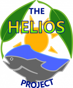 School Profile: The Helios Project @ Pomfret School |The Aquaponic ...