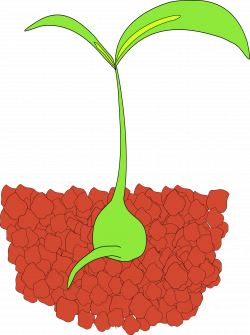 Dirt clipart seedling - Pencil and in color dirt clipart seedling