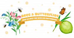 Bees & Butterflies | Little Garden