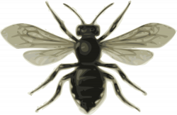 OnlineLabels Clip Art - Bee (Mlecle Ponctue)