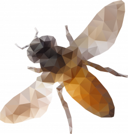 Clipart - Low Poly Bee