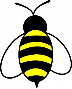 Free Image on Pixabay - Honey, Bee, Bug, Insect, Buzz | Pinterest ...