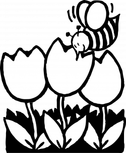Bee Outline Drawing at GetDrawings.com | Free for personal use Bee ...