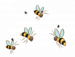 Images of Animated Bees Flying - #SpaceHero