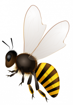 abeilles,abeja,abelha,png | Bees ผึ้ง | Pinterest | Bees, Clip art ...