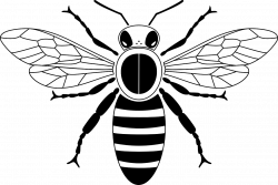 Honey bee Drawing Beehive Clip art - Black and white bee 1280*860 ...