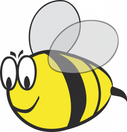 Busting Bee Myths | Hannah Gehrels