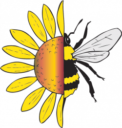 About – Native Beeology