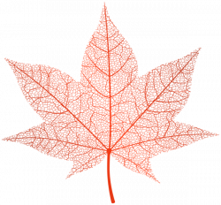 Transparent Red Autumn Leaf PNG Clip Art Image | Digiscrap Photoshop ...