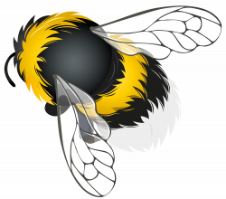 Bee PNG Clipart - Best WEB Clipart