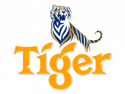 Tiger beer logo | Logok