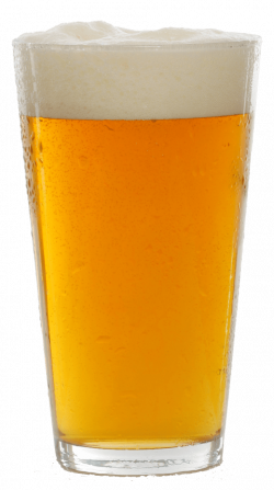 beer in mug png - Free PNG Images | TOPpng