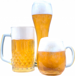 Beer Glass Set One | Isolated Stock Photo by noBACKS.com