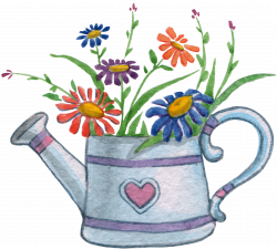 Watercolor painting Photography Clip art - The flowers in the kettle ...