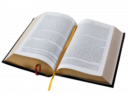 Open Bible Book transparent PNG - StickPNG