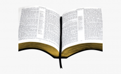 Open Bible Clipart - Bible Png , Transparent Cartoon, Free ...