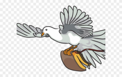 Turtle Dove Clipart Bible - Dove On Bible - Png Download ...
