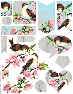 Free Vintage Bird Collage Sheet - Free Pretty Things For You