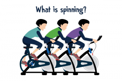 Free Spin Class Cliparts, Download Free Clip Art, Free Clip ...