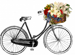 Free Image on Pixabay - Bicycle, Flower, Bunch, Transport ...