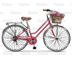 A0089_blue - Retro Bicycle, Vintage Bike, Flower Basket ...