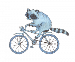 Raccoon on a Bicycle by Madelei on DeviantArt