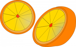 Orange Fruit | Free Stock Photo | Illustration of an orange slice ...