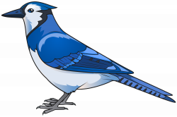 Blue Bird Transparent PNG Clip Art Image | Gallery Yopriceville ...
