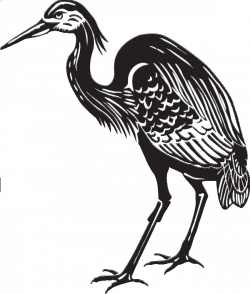 Great Blue Heron Drawing at GetDrawings.com | Free for personal use ...