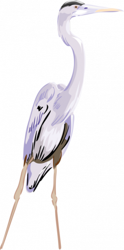 Crane Great egret Clip art - Cartoon crane 399*800 transprent Png ...