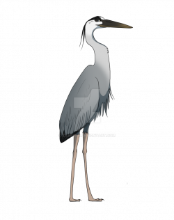 Heron PNG Clipart | PNG Mart