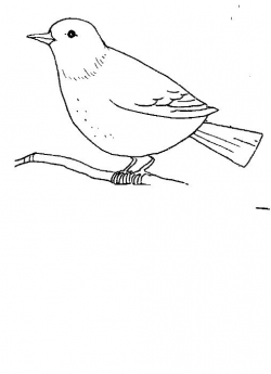 Free Body Clipart bird, Download Free Clip Art on Owips.com