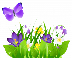 Spring time grass, flowers, butterflies png 3366x2731 | Clip Art ...