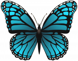 Large Blue Butterfly PNG Clip Art Image | Gallery Yopriceville ...