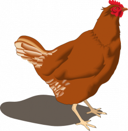 Chicken Clipart at GetDrawings.com | Free for personal use Chicken ...