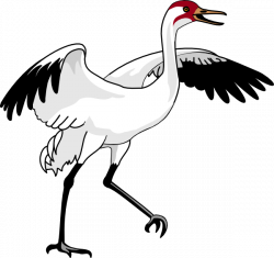 Swan 3 Clip Art at Clker.com - vector clip art online, royalty free ...