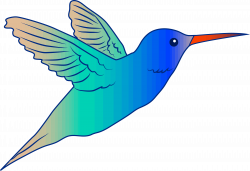 Cute Parrot Clipart Flying Bird Hummingbird Illustration Free Png ...