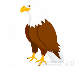 Eagle Bird Clipart Bald-eagle-clipart- Transparent Png - AZPng