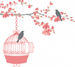 Floral Bird Cage - Ann's Hair Affair & Spa