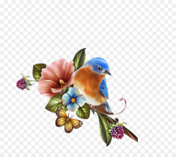 Flower Illustration clipart - Bird, Flower, Graphics ...