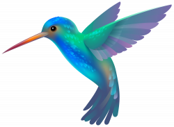 Hummingbird Clipart Picture multi colored | Birds of a Feather ...