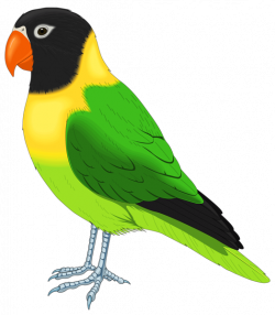 Gallery - Birds PNG