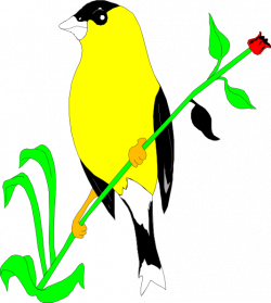 Goldfinch On A Flower Stem Clip Art at Clker.com - vector clip art ...