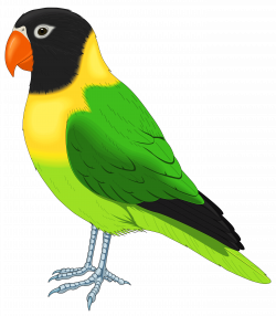 Green and Yellow Bird PNG Clipart Image | Gallery Yopriceville ...