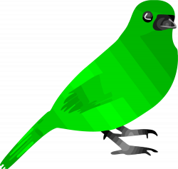 Green Bird Clipart Png - Clipartly.comClipartly.com
