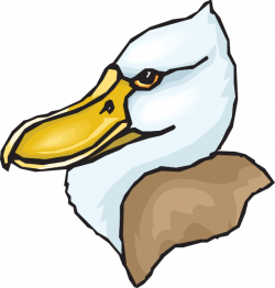 Big Beaked Duck Head Clip Art at Clker.com - vector clip art online ...