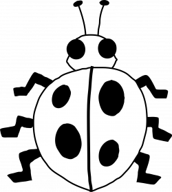 Ladybug Clipart Black And White | Clipart Panda - Free Clipart Images